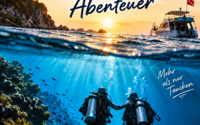 Mein Dive-Buddy und die gemeinsamen Abenteuer